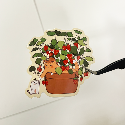 Frankie & Strawberry Cat Sticker