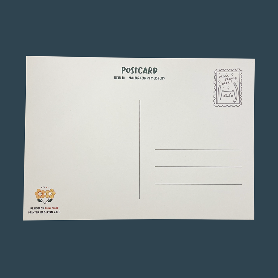 Berlin: Naturkundemuseum, Dinosaurs playing Cards Post Card